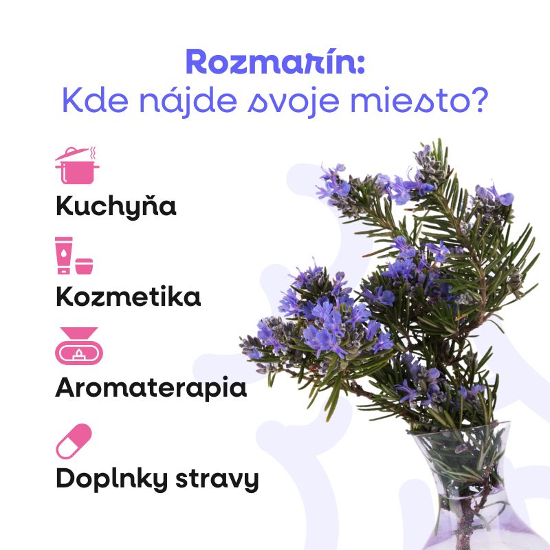 (Slovenčina) Aktivní uhlí Hl… (1)